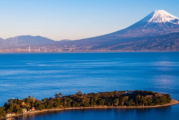 🏖️ 오세 해수욕장(大瀬海水浴場) 이미지 5